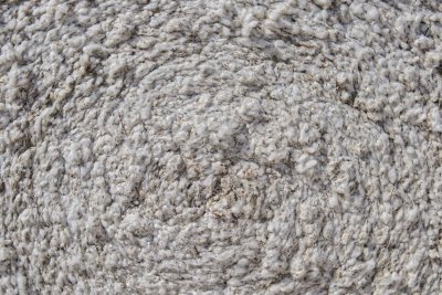Pima Cotton