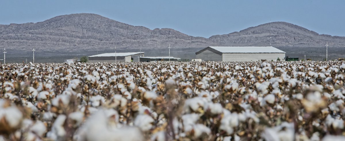 Farm to Fabric Journey
