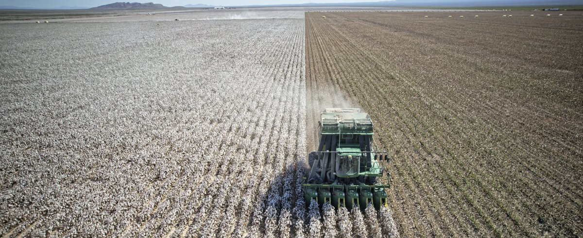 MEXPIMA Sustainability Pima Cotton