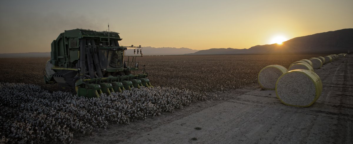 MEXPIMA Pima Cotton Softest